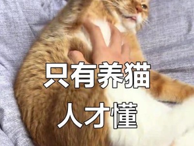 揭秘猫的神秘世界（了解猫的秘密，探索其奇妙生活）