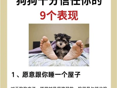 如何养育0-8个月的幼犬？（狗狗成长的关键期需知）