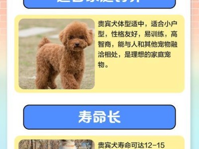 小型贵宾犬睁眼时间的变化及影响因素（探究小型贵宾犬出生后眼睛睁开的时间和相关因素）