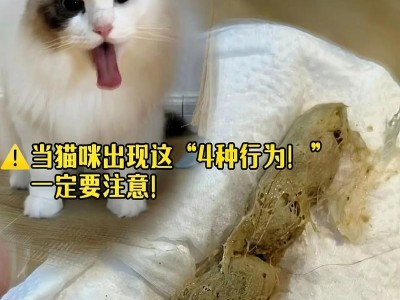 猫咪常见检查项目及重要性（宠物猫身体健康需定期检查，这些项目你了解吗？）