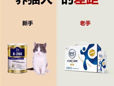 养猫的预算及注意事项（新手养猫的花费和需要考虑的因素）