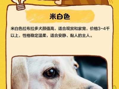 拉布拉多犬纯种分析（揭秘纯种拉布拉多犬的颜色价值及其分析）