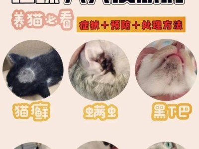 晒太阳（晒太阳可以缓解猫癣的症状和加速康复进程）