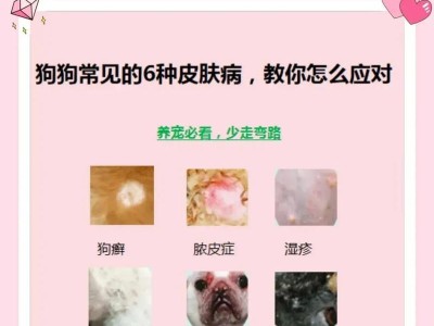 小狗狗皮肤病的治疗方法（选择合适的药物来治疗小狗狗的皮肤病）