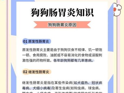 了解狗狗严重肠胃炎症状（狗狗肠胃炎的常见症状及处理方法）