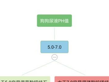 一个月小狗的排尿频率及调理方法（小狗如何控制排尿、如何调整小狗的尿频、小狗的尿频与健康关系）