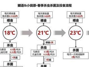 霞蝶鱼的饲养全攻略（如何打造优质的霞蝶鱼家庭水族箱）