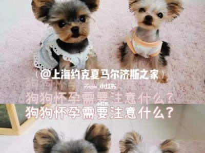 购买狗狗的注意事项（了解并满足你和你新宠物的需求）