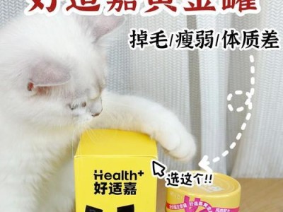 猫消化不良该吃什么药？（为你的猫找到合适的药物治疗方案）