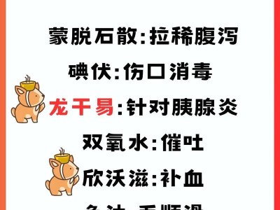 夏天养小狗的注意事项（宠物狗的健康和安全是关键）