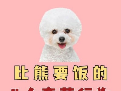 狗的饮食丰富多样（探索狗的饮食习惯及喂养技巧）