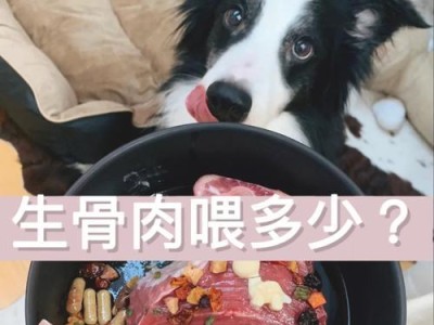 狗狗食量减少的原因及应对方法