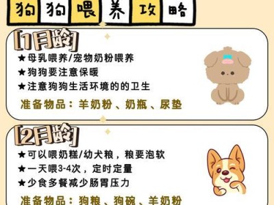 狗狗肛温量的正确方法与频率（了解狗狗肛温量的重要性及实施步骤）