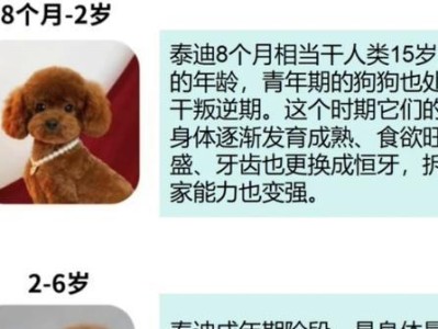 掌握泰迪犬年龄的4种方法（判断泰迪犬年龄的有效技巧）