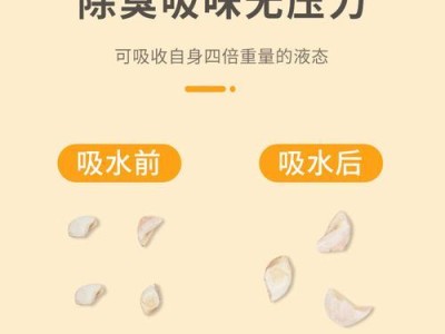 仓鼠木削的更换频率对健康的影响（了解仓鼠木削的更换频率，让宠物更健康快乐）