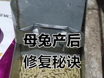 兔子产后疾病及预防措施（了解兔子产后疾病的种类和症状，做好预防工作，保护兔子健康）