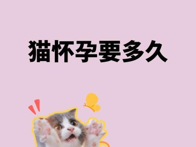 猫咪配种间隔周期研究（了解猫咪适宜的配种时间是保障繁殖健康的关键）