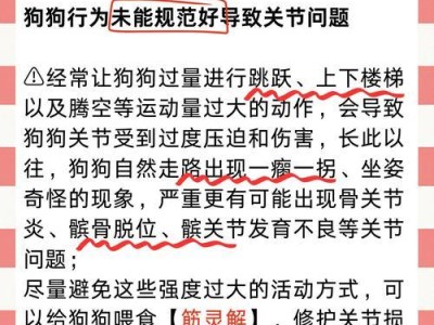 小狗骨折康复时间及注意事项（小狗骨折康复时程和护理要点）