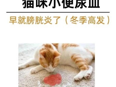 猫咪膀胱炎（探究猫咪膀胱炎的康复过程和预计治疗时间）