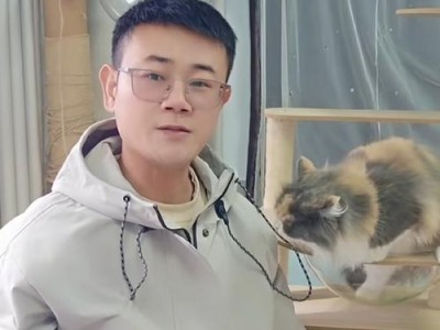 猫为什么喜欢去厕所？（探究猫咪喜欢去厕所的原因）