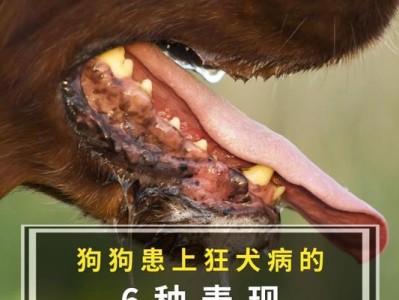 狂犬病（了解狂犬病的发病症状，保护宠物和自己）