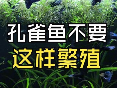 与孔雀鱼混养的三种最适合观赏鱼（为您介绍与孔雀鱼混养的最佳鱼类选择）