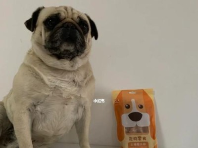 小狗换牙期所需的适宜食物（促进小狗健康成长的饮食选择）