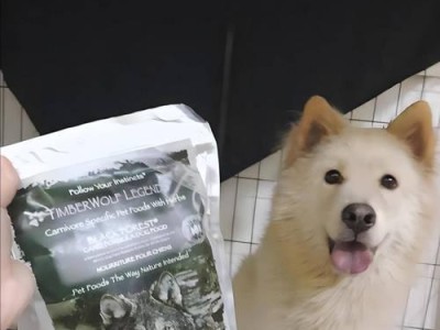贵宾犬的健康饮食（探索贵宾犬与水果的亲密关系，）