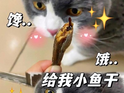 猫的最爱！小鱼干是宠物猫的绝佳选择（挑食猫咪也无法抗拒的美味小鱼干）