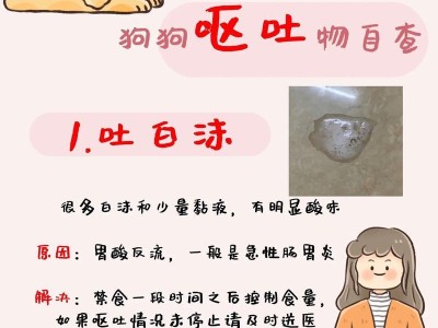 如何处理狗狗的呕吐问题？（有效应对狗狗呕吐，保障它的健康）
