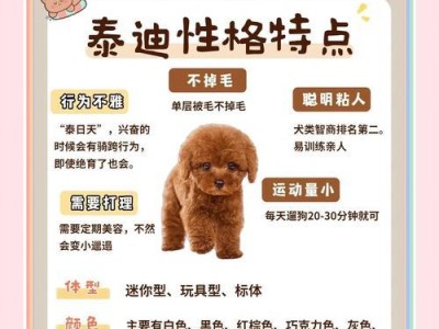 泰迪犬的驱虫周期及注意事项（了解泰迪犬驱虫周期，保障宠物健康）