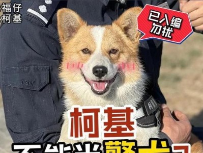 探秘警犬的神奇世界（从捕食者到保护者，守护我们的无声英雄）