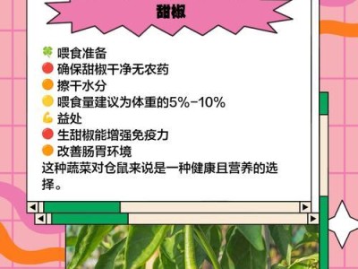 仓鼠的饮食禁忌（保护宠物健康的小贴士，了解仓鼠的食物限制）