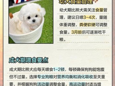 比熊犬最喜欢吃什么食物？（试试喂这6种食物，都是它的最爱！）