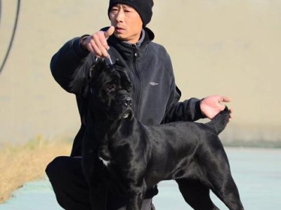 宝宝应在出生后多久打疫苗？（了解疫苗接种时间表，保护宝宝健康成长）