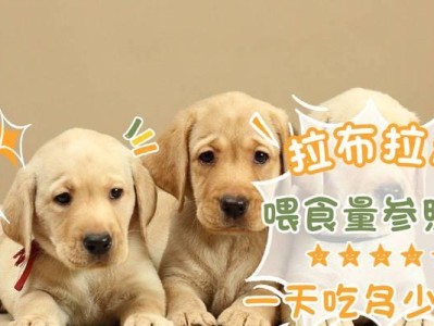 20天的拉布拉多喂什么？探究宠物狗饮食的最佳选择
