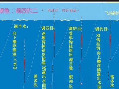 以凤尾短鲷为宠物的饲养方法（打造一个适宜凤尾短鲷生长的家庭水族箱）