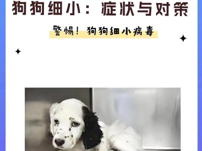 狗狗细小并发症的种类与防治措施（了解细小并发症，守护爱宠健康）