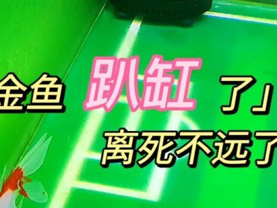 如何治疗经常趴缸的金鱼（探索造成金鱼趴缸的疾病及有效的治疗方法）