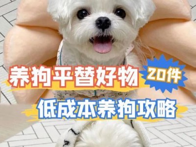 小狗鼻子不黑的原因及对策（探讨小狗鼻子变色的原因，提供有效的保护与修复方法）