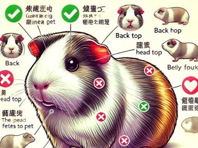 荷兰猪为何钟爱草食？（揭秘荷兰猪饮食习性及其对健康的益处）