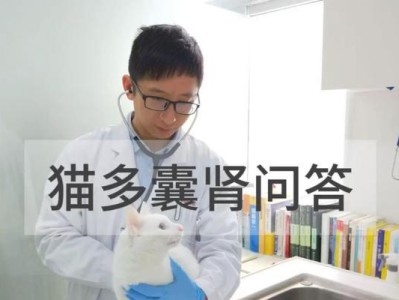 多囊肾病（预防和治疗多囊肾病的关键方法）