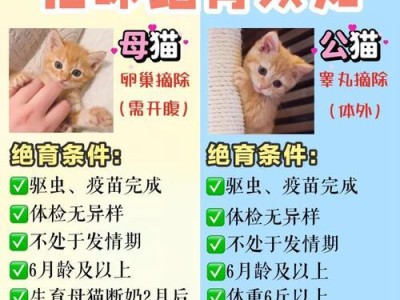 猫绝育手术后的疼痛期及其持续时间（探索猫咪绝育手术后疼痛的原因和应对方法）