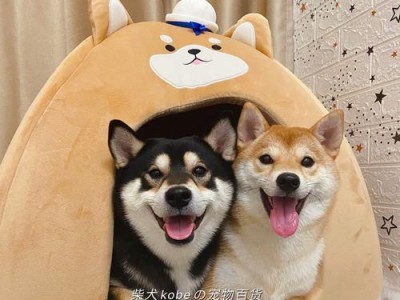探索日本独特的宠物文化（从猫咪到龙猫，日本养宠的新潮流）
