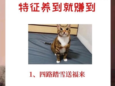 揭秘猫瘟（猫瘟的症状、传播途径和预防措施，你了解吗？）