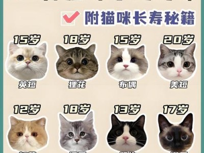 小猫为什么需要睡眠？（揭开小猫睡眠之谜，探秘背后的科学原理与益处）