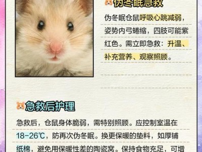 仓鼠长肿瘤能活多久？（仓鼠肿瘤寿命及影响因素分析）