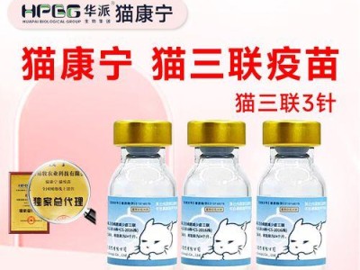 猫咪的针剂接种要点（为您详解猫咪需要接种的针剂及注意事项）