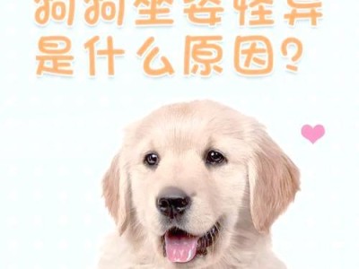 狗狗食欲下降的8个原因（了解你的爱犬为什么不吃饭，关注健康问题）