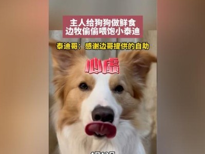 喂狗狗的技巧——宠物家庭必知（让你的狗狗健康快乐成长）